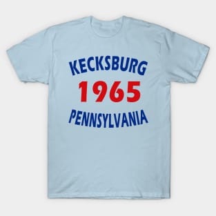 Kecksburg Pennsylvania 1965 T-Shirt